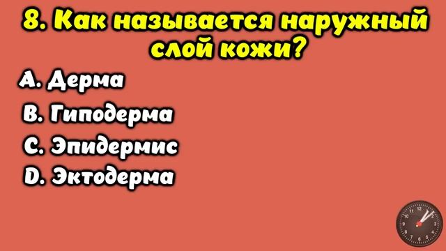 Интересный тест на эрудицию и кругозор #21 | Вы эрудит? #викторина #квиз #эрудиция смотреть онлайн