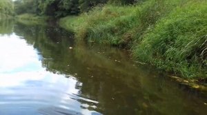 Лодочный мотор Меркурий 5 л.с. 2т.