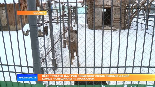 Пётр Тултаев дал ряд предновогодних рекомендаций коммунальщикам и горожанам смотреть онлайн