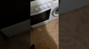 Кормление охотничего спаниеля!