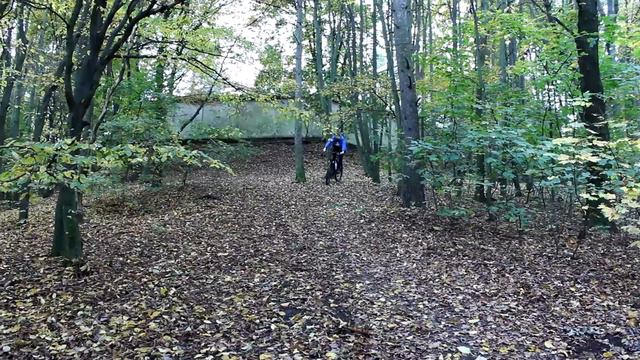 Я НАШЁЛ ПРОКЛЯТОЕ МЕСТО В ЛЕСУ | ПОЧЕМУ ТАМ ВСЕ ПАДАЮТ 😬 | Часть 1 смотреть онлайн