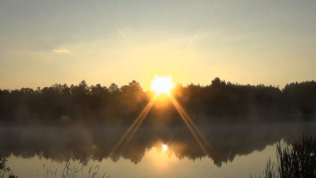 Ты ушла Слова Александра Финогеева Музыка Игоря Меркушева смотреть онлайн
