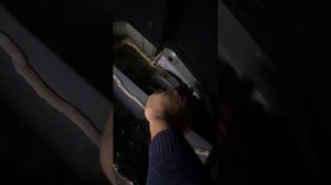 Вода в багажнике. MAZDA 6, кузов GH