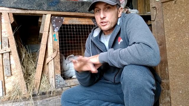 окролилась молодая крольчиха! первый окрол...