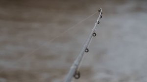 Сезон открыт! Первая рыбалка на фидер весной 2023!