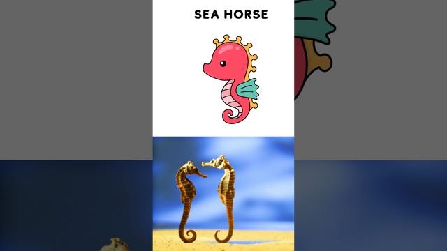 Sea animals #shortsenglishvideos смотреть онлайн