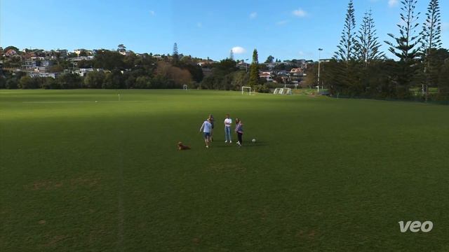 North shore united vs Hibiscus coast 210822 смотреть онлайн