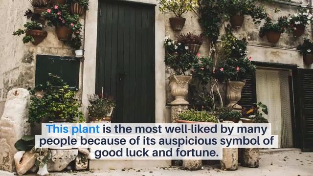 How To Feng Shui Front Door For Wealth & Good Luck | Feng Shui Tips | Feng Shui Wealth смотреть онлайн