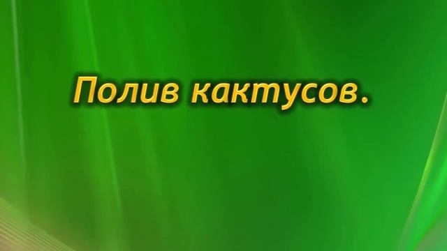 Ошибки и тонкости полива комнатных растений. Как правильно поливать цветы? смотреть онлайн