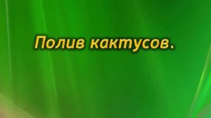 Ошибки и тонкости полива комнатных растений. Как правильно поливать цветы?