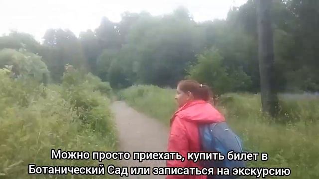 Дорога на Урочище Чертов Стул. Часть 2 - Колокольчиковое море. - Карелия. Петрозаводск смотреть онлайн