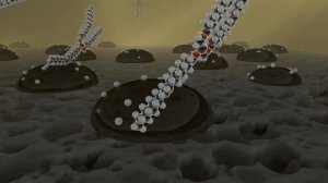 Жир: производство, польза и мифы