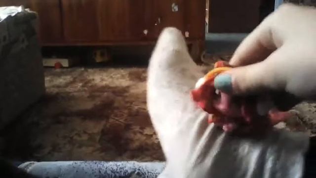 Клип мокрая девочка танцует смотреть онлайн