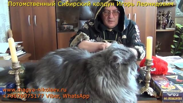 Порча как подложить свинью. Черная вдова. смотреть онлайн