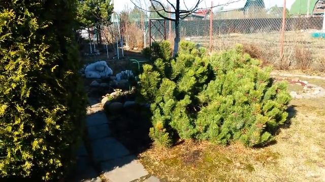 Каким был наш сад год назад/Обзор 14.04.2018/ смотреть онлайн