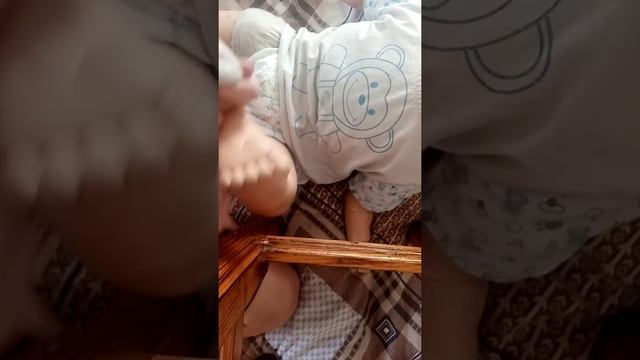 пол день с реборном. Day in reborn!) смотреть онлайн
