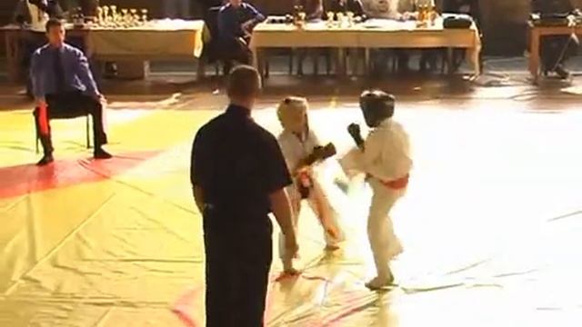 Киокушин Первенство Крыма_5 смотреть онлайн