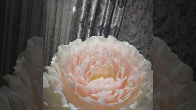 огромные цветы для фотосессии16 февраля 2022 г.(5) смотреть онлайн