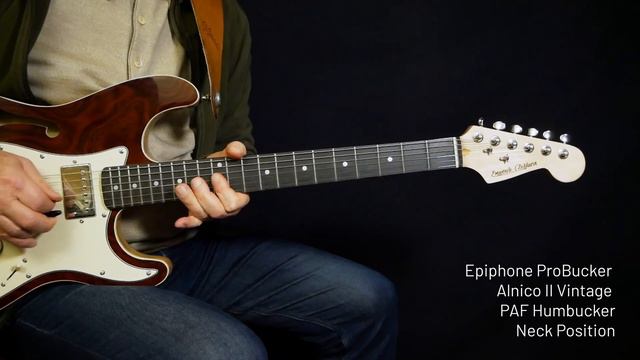Epiphone ProBucker Alnico II Vintage PAF Humbucker - Neck Position (No Talking)