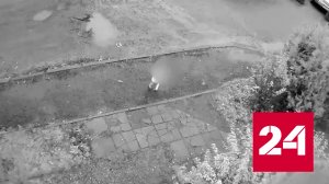 В Кирове девочка сбежала из детского сада в одном подгузнике - Россия 24