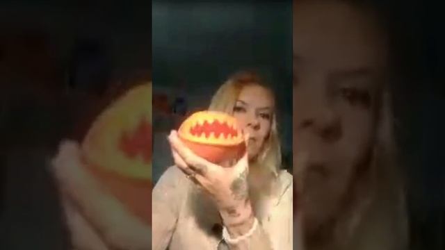 игрушки для собак: как выбирать? вебинар смотреть онлайн