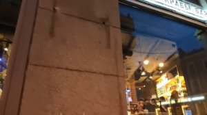 Петербургский пятиугольник | Погнали в Трип!