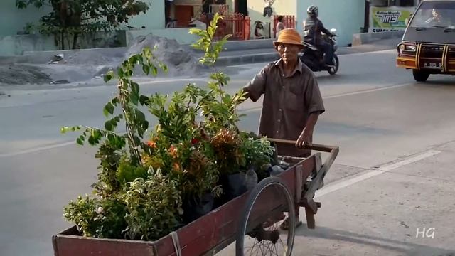 Semarang, Java, Indonesia смотреть онлайн
