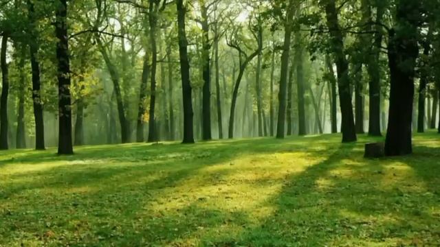 Получив на телефон несколько фото с неизвестного номера. Истории из жизни. Женские истории. смотреть онлайн