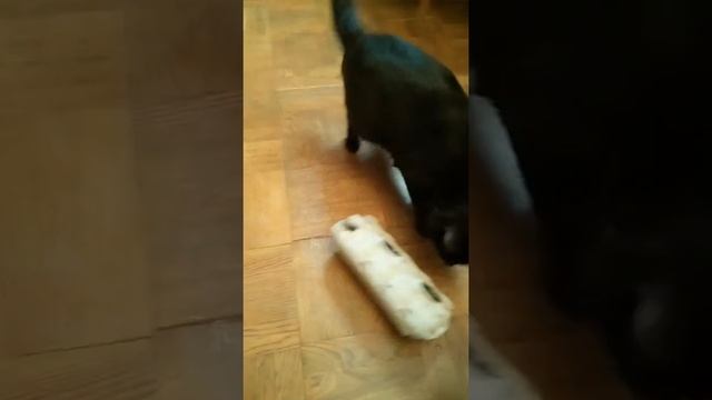 Игрушки для кошек своими руками/ Handmade toys for cats смотреть онлайн