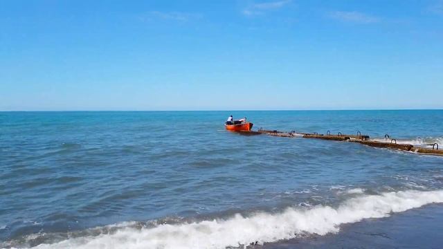 Пляж Головинка 1 и Тюльпановое дерево. смотреть онлайн