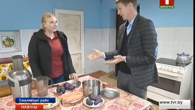 В Смолевичском районе выращивают картофель фиолетового цвета смотреть онлайн