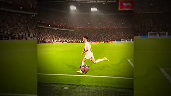 5d3802fe8150f8bc2826ff69513e76c3.mp4