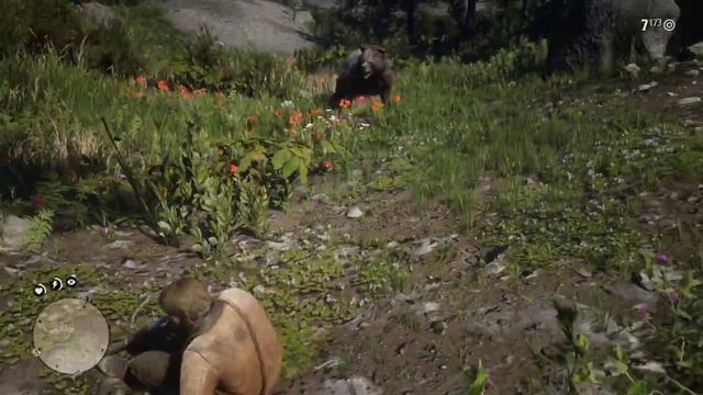 Killing the legendary grizzly RDR 2￼ смотреть онлайн