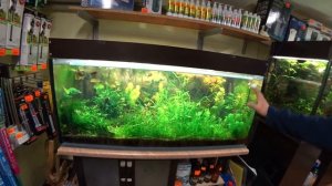 Аквариумы 600 и 400 литров на протоке. Обзор.