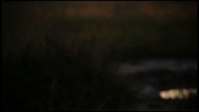 Mission Africa: synopsis of the adventure смотреть онлайн