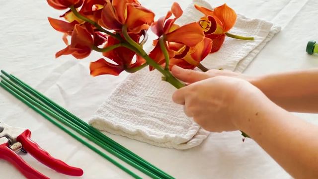 How To Tube & Stake Orchid Blooms смотреть онлайн