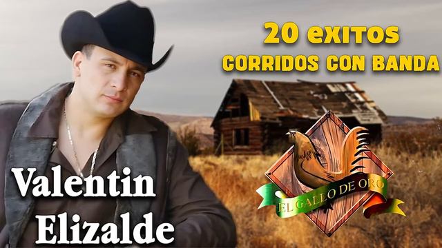 Valentin Elizalde - 20 Exitos Corridos Con Banda смотреть онлайн
