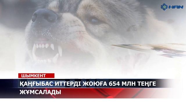 "AdiletАқпарат" ҚАҢҒЫБАС ИТТЕРДІ ЖОЮҒА 654 МЛН ТЕҢГЕ ЖҰМСАЛАДЫ смотреть онлайн