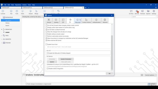 (T23-4)更新SourceTree的Git和Mercurial смотреть онлайн