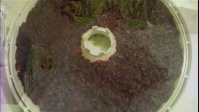 Как сделать конфеты из свеклы. #полезныерецепты смотреть онлайн