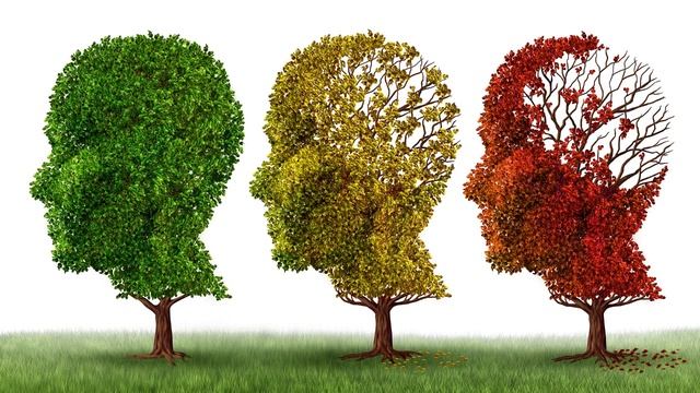 Деменция : БРТ Dementia смотреть онлайн