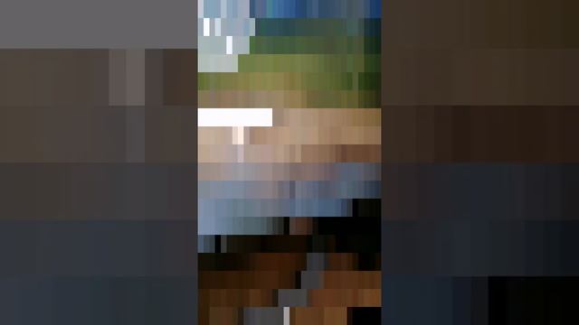 Строительные Палитры