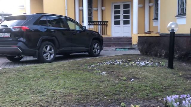 Первоцвет в Мещанском районе смотреть онлайн