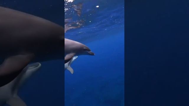 Я вам желаю только удачи!Много любви! Как же иначе?