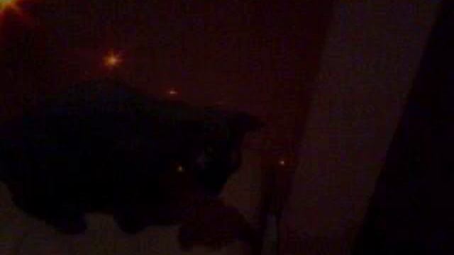 вот вечеринка 6 смотреть онлайн