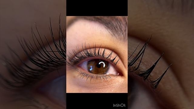 Преобрази себя и жизнь заиграет новыми красками!❤️❤️❤️РЕСНИЦЫ сделают твой образ. #love #follow #ey смотреть онлайн