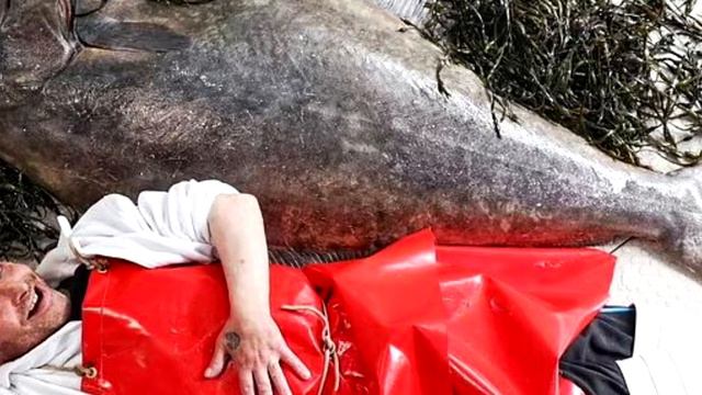 Ошарашенный рыбак не поверил своим глазам, поймав это редкое СУЩЕСТВО! Это надо видеть! смотреть онлайн