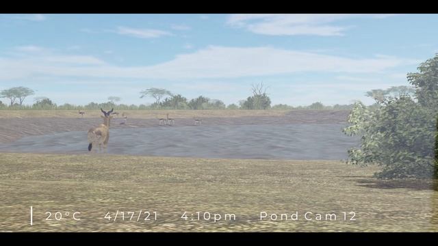 Trail Cam 1 (Roblox - Testing A) смотреть онлайн
