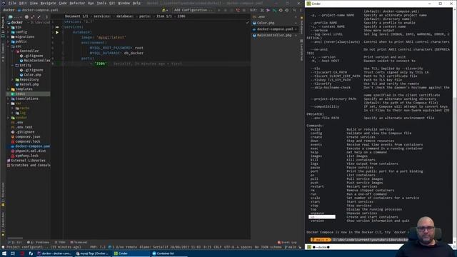 Symfony - Remplacer un AMP (WampServer, XXAMP,...) par Docker смотреть онлайн