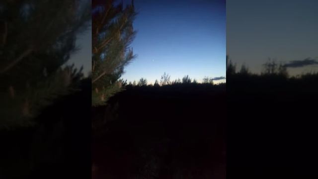 Снова замерло всё, До рассвета... 1 смотреть онлайн